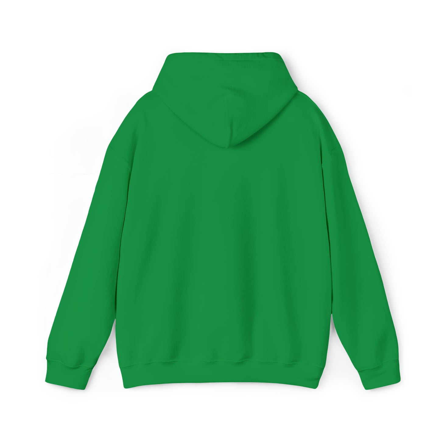 Class of 2024 Hooded Sweatshirt