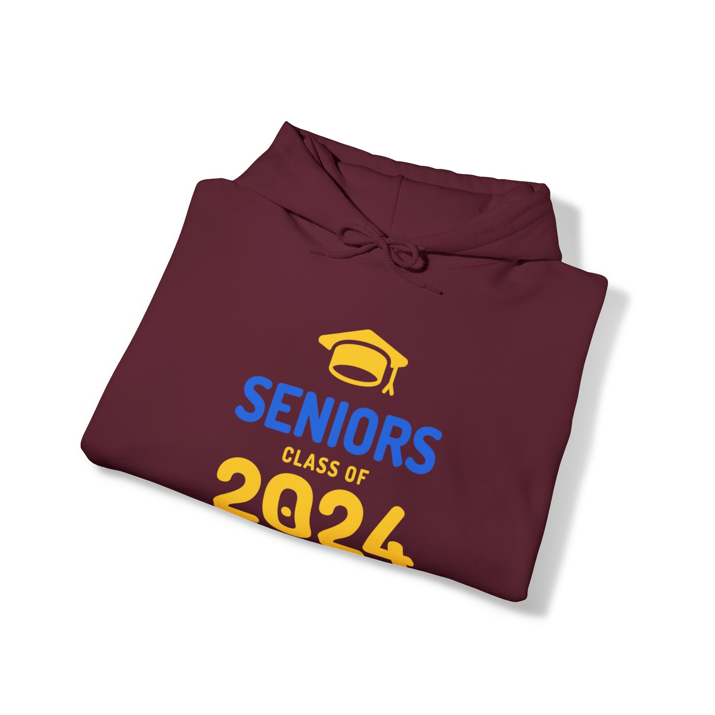 Class of 2024 Hooded Sweatshirt