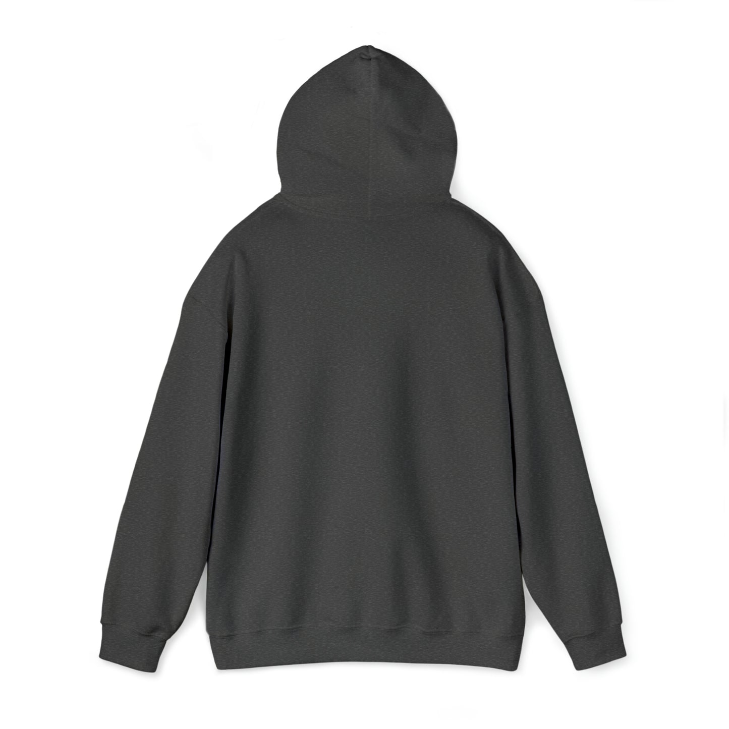 Class of 2024 Hooded Sweatshirt