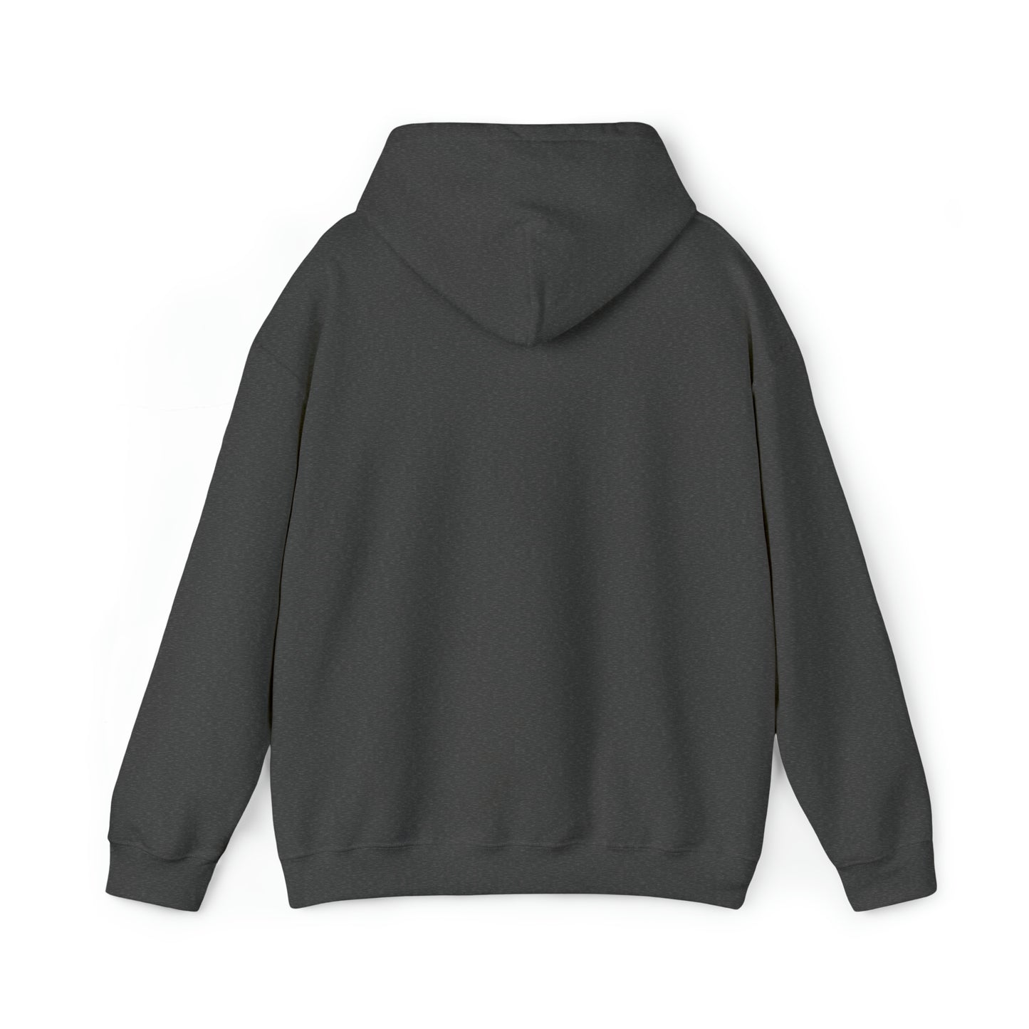 Class of 2024 Hooded Sweatshirt