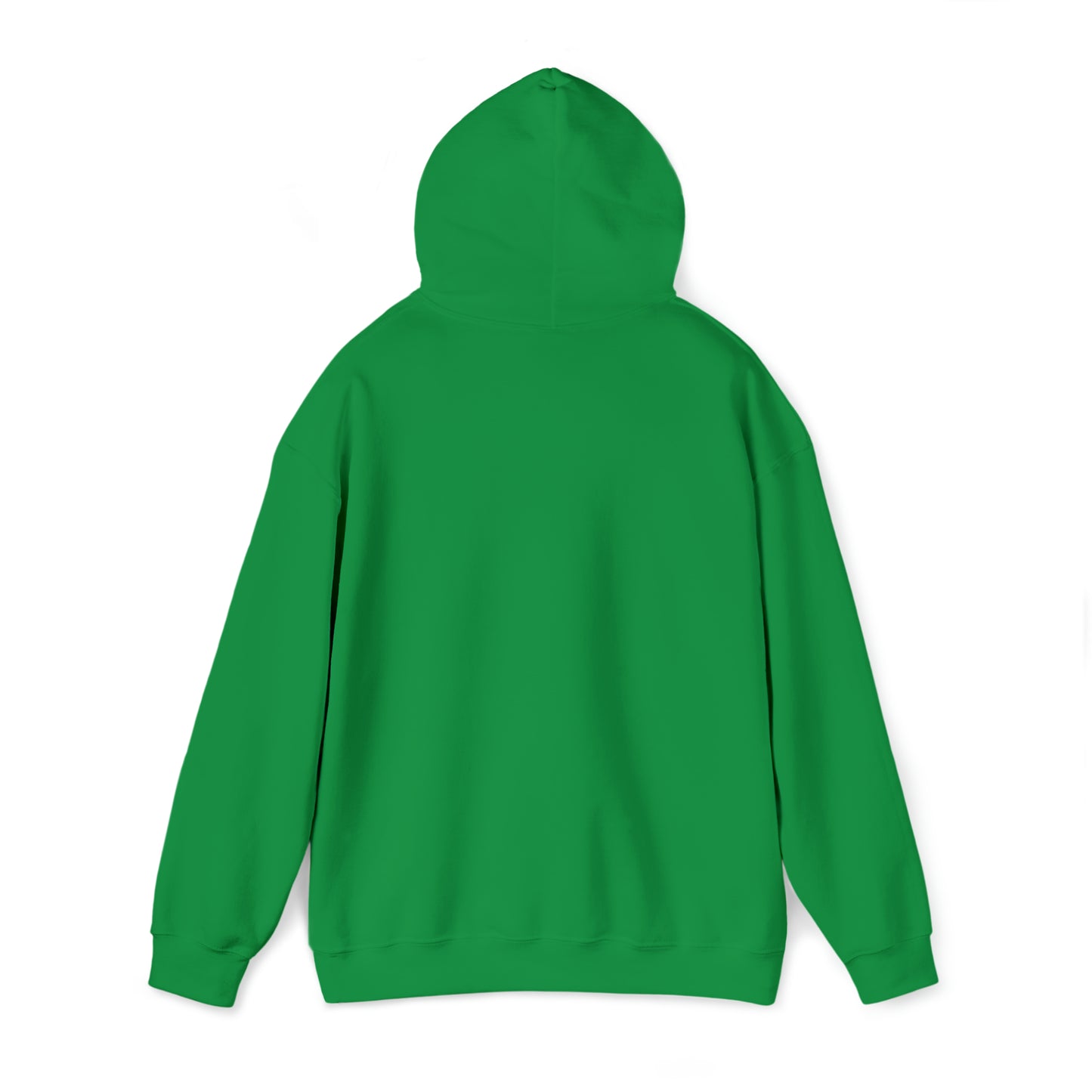 Class of 2024 Hooded Sweatshirt