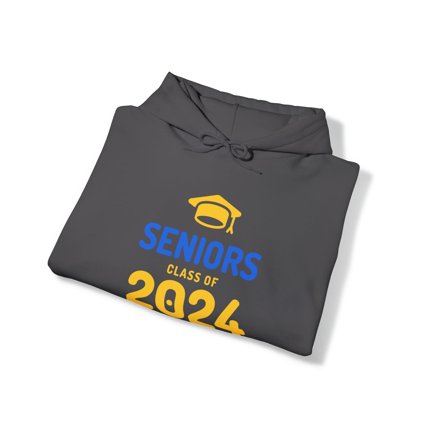 Class of 2024 Hooded Sweatshirt