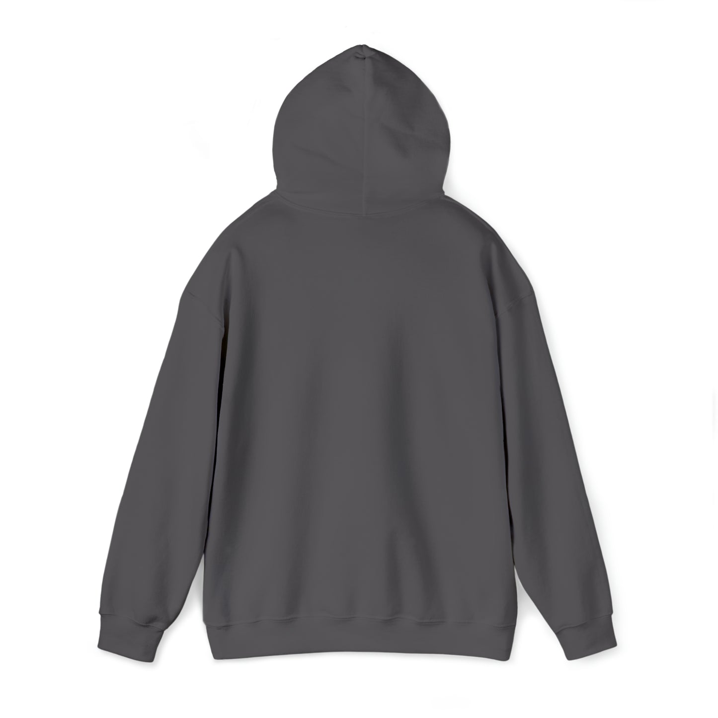 Class of 2024 Hooded Sweatshirt