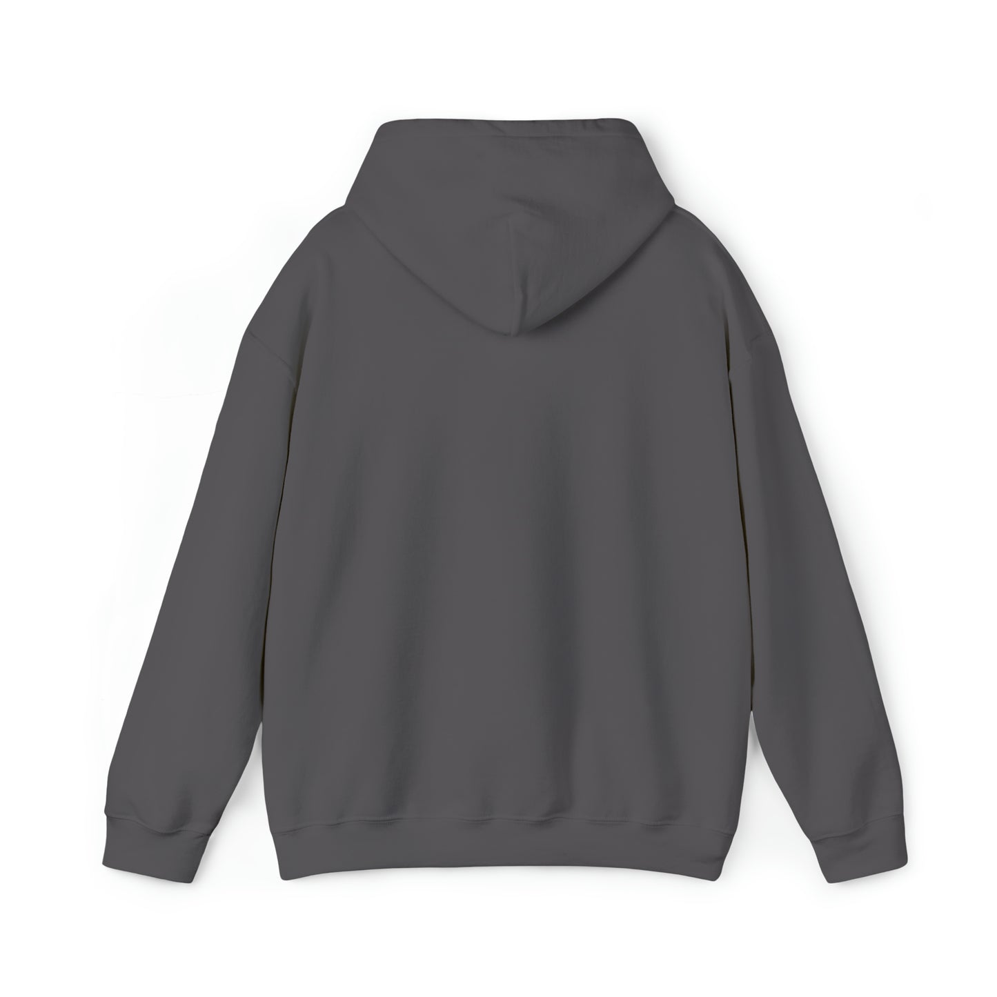 Class of 2024 Hooded Sweatshirt