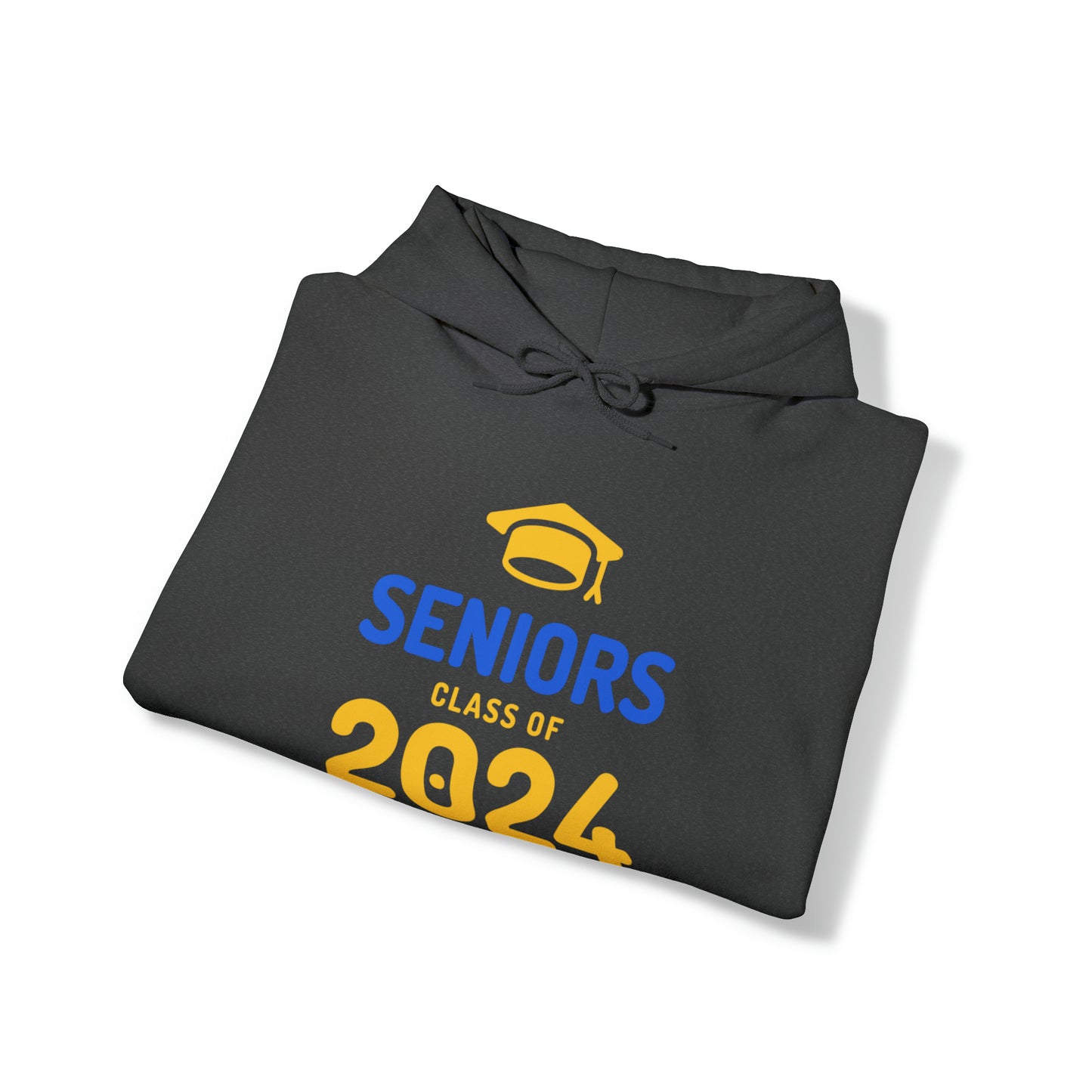 Class of 2024 Hooded Sweatshirt